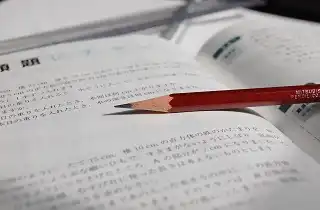 しつけ